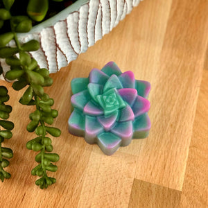 SUCCULENT SOAP