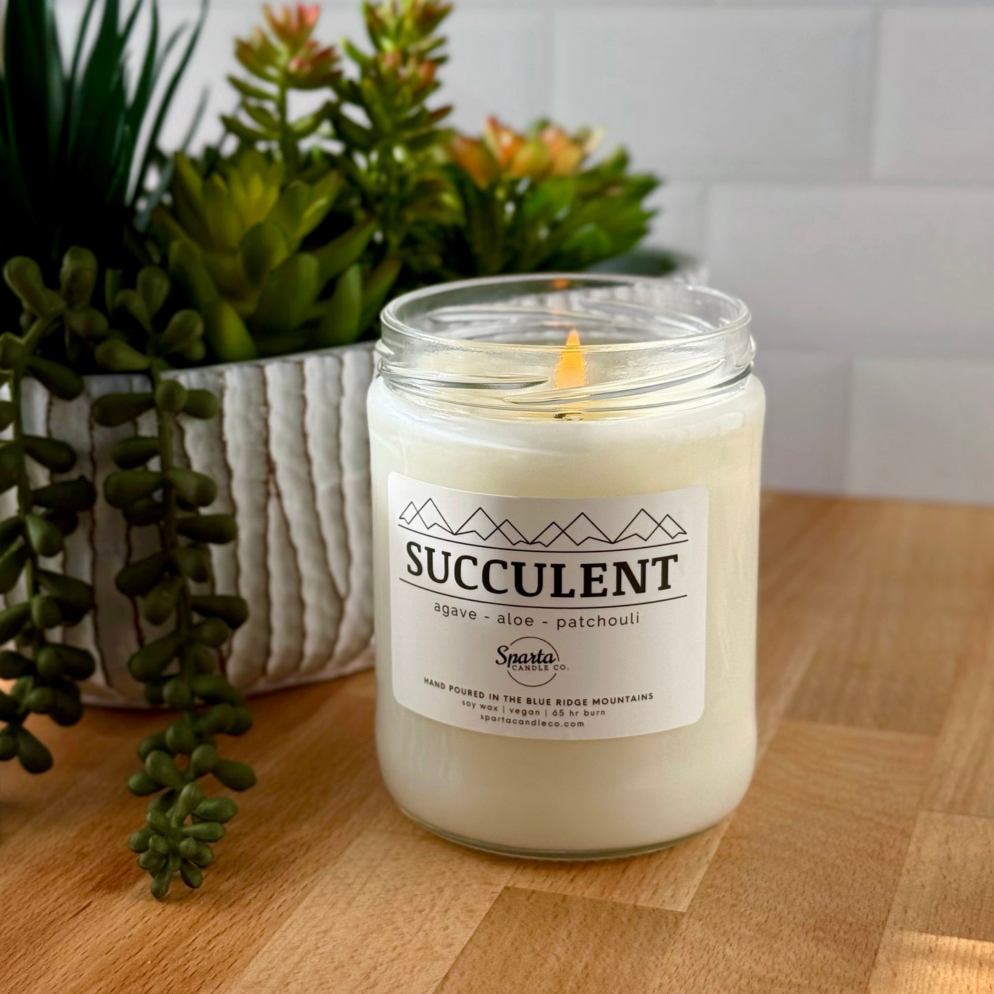 SUCCULENT CANDLE