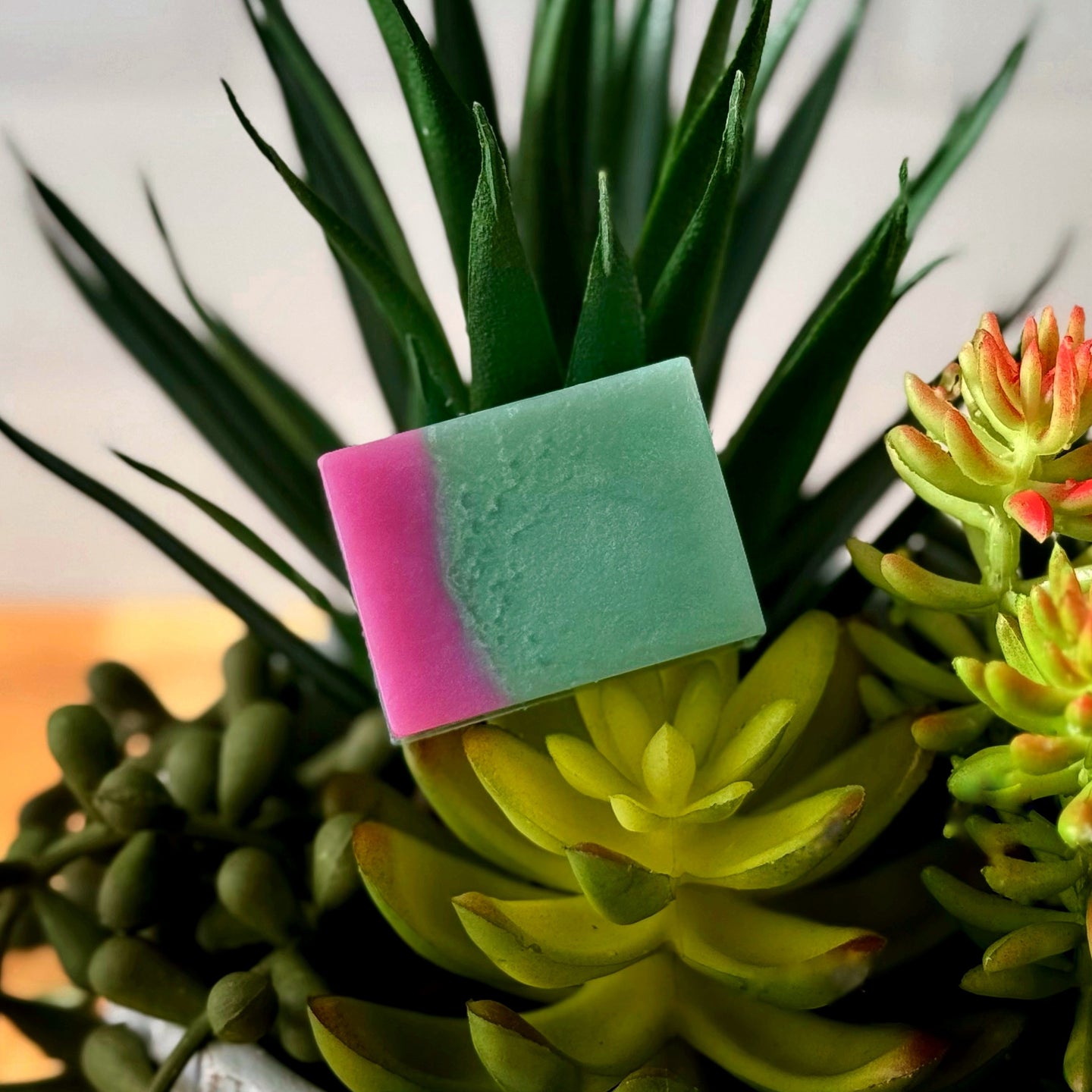 the succulent soapery MINI SUCCULENT SOAP